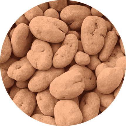 Truffes au chocolat et aux pacanes