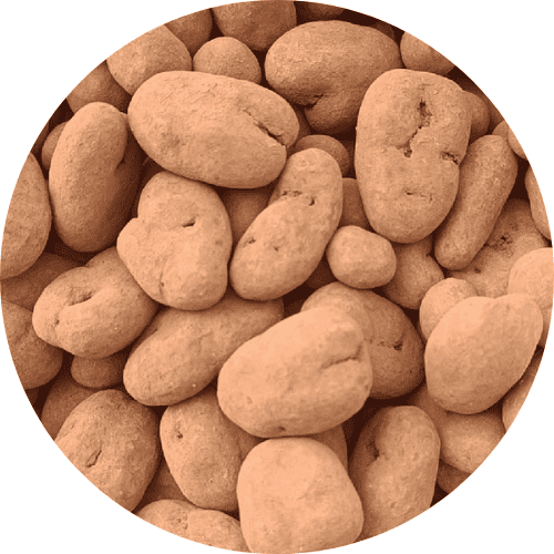 Truffes au chocolat et aux pacanes