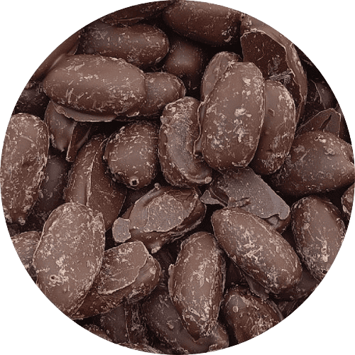 Dark Chocolate Covered Dates