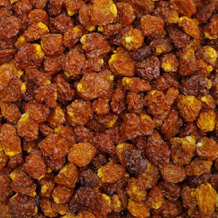 Inca berries (Physalis)