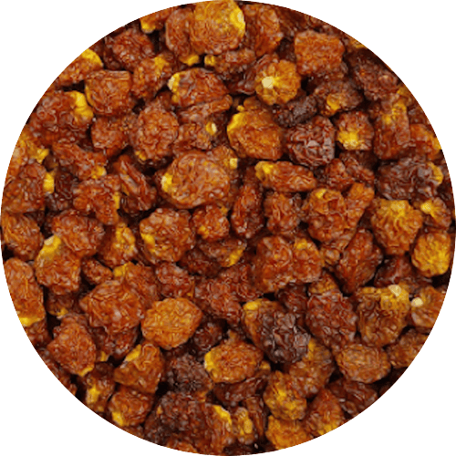 Inca berries (Physalis)