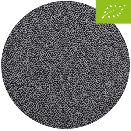 Graines de Pavot Biologiques