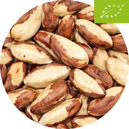 Organic Brazil Nuts