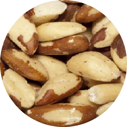Noix du Brésil