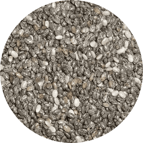 Chia seed